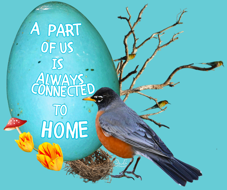 Robin & Egg Kerstin Bolseng Art