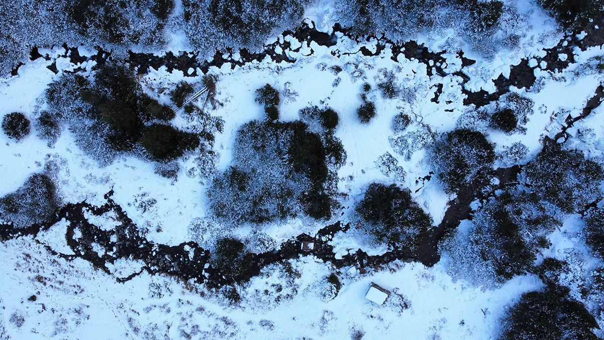 steps in the snow